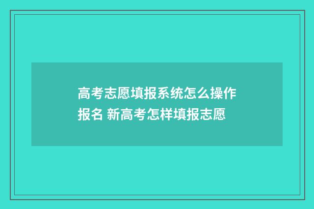 高考志愿填报系统怎么操作报名 新高考怎样填报志愿