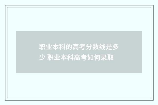 职业本科的高考分数线是多少 职业本科高考如何录取