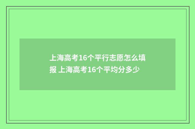 上海高考16个平行志愿怎么填报 上海高考16个平均分多少