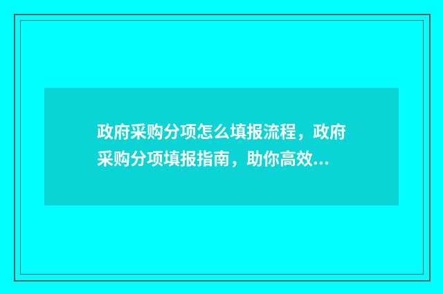 政府采购分项怎么填报流程，政府采购分项填报指南，助你高效完成填报！ 政府采购分标段