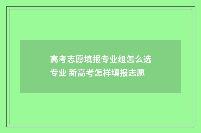 高考志愿填报专业组怎么选专业 新高考怎样填报志愿