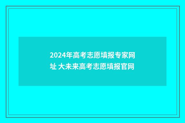 2024年高考志愿填报专家网址 大未来高考志愿填报官网