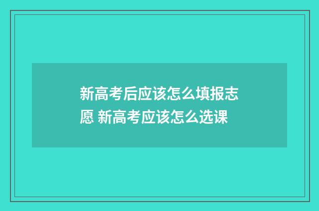 新高考后应该怎么填报志愿 新高考应该怎么选课