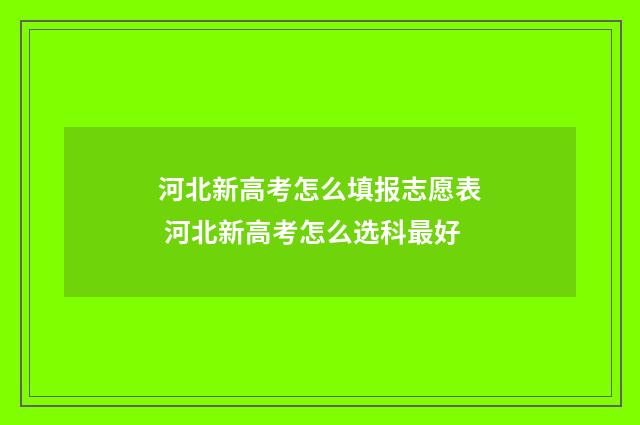 河北新高考怎么填报志愿表 河北新高考怎么选科最好