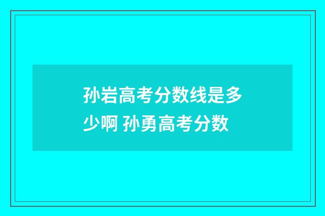 孙岩高考分数线是多少啊 孙勇高考分数
