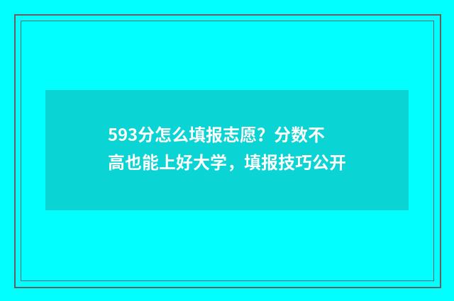 593分怎么填报志愿?分数不高也能上好大学,填报技巧公开