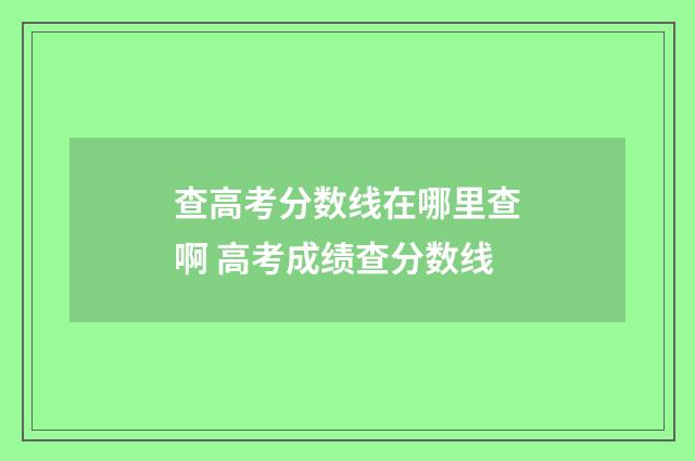 查高考分数线在哪里查啊 高考成绩查分数线
