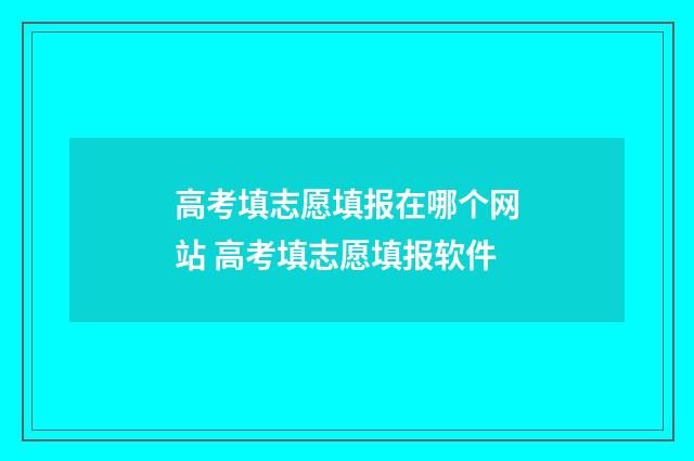 高考填志愿填报在哪个网站 高考填志愿填报软件