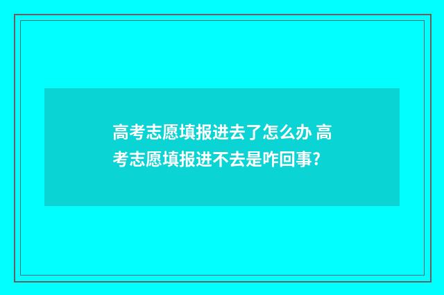 高考志愿填报进去了怎么办 高考志愿填报进不去是咋回事?