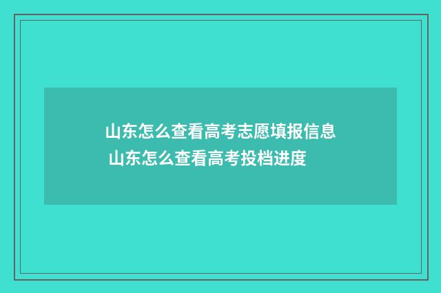 山东怎么查看高考志愿填报信息 山东怎么查看高考投档进度