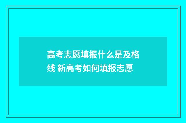 高考志愿填报什么是及格线 新高考如何填报志愿