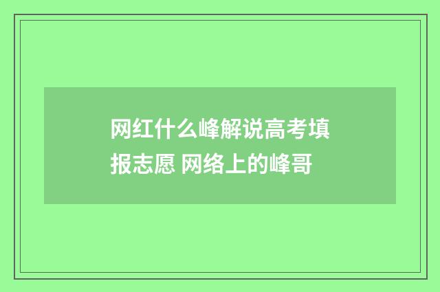 网红什么峰解说高考填报志愿 网络上的峰哥