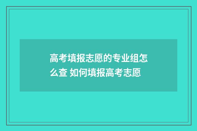 高考填报志愿的专业组怎么查 如何填报高考志愿