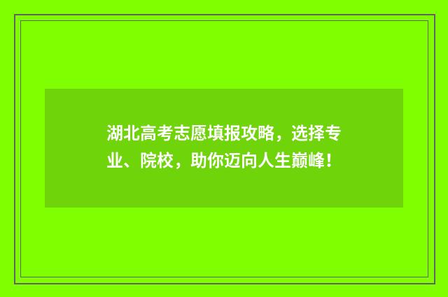 湖北高考志愿填报攻略,选择专业、院校,助你迈向人生巅峰!