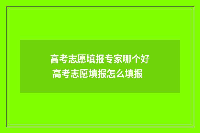 高考志愿填报专家哪个好 高考志愿填报怎么填报