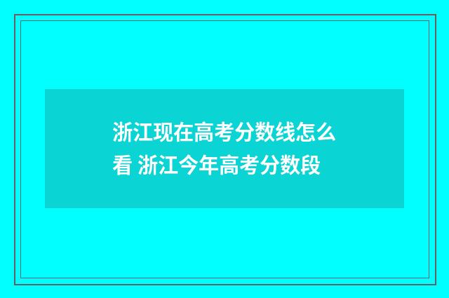 浙江现在高考分数线怎么看 浙江今年高考分数段