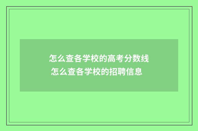 怎么查各学校的高考分数线 怎么查各学校的招聘信息
