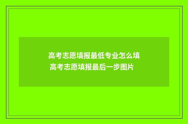 高考志愿填报最低专业怎么填 高考志愿填报最后一步图片