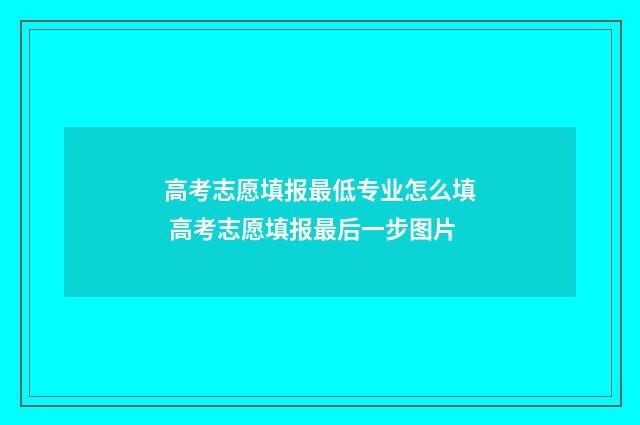 高考志愿填报最低专业怎么填 高考志愿填报最后一步图片