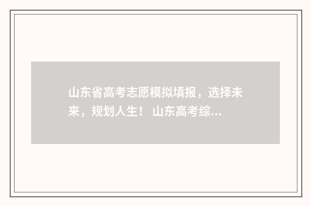 山东省高考志愿模拟填报，选择未来，规划人生！ 山东高考综合评价招生