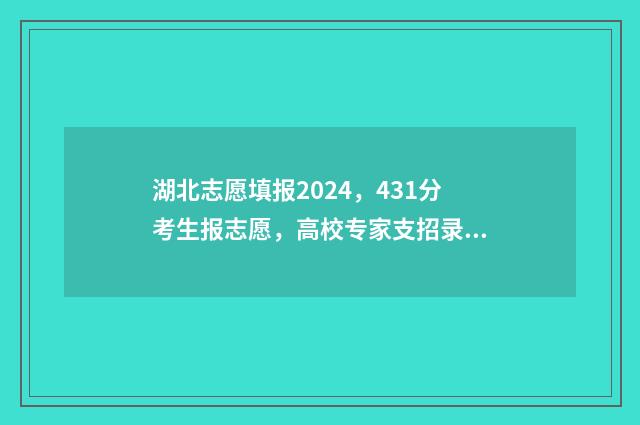 湖北志愿填报2024，431分考生报志愿，高校专家支招录取率高 湖北志愿填报2024官方网站