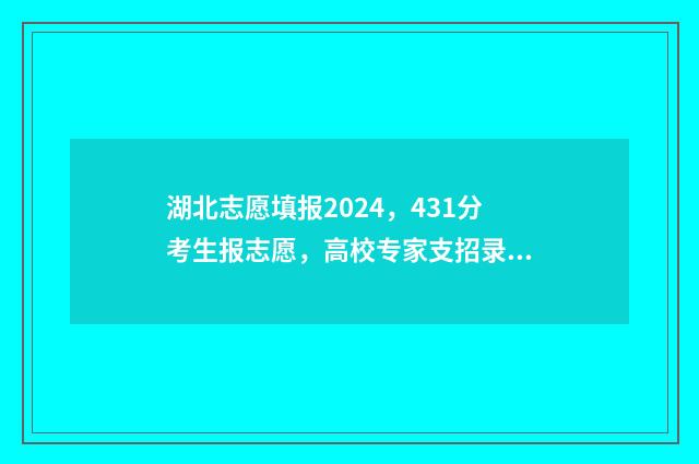 湖北志愿填报2024，431分考生报志愿，高校专家支招录取率高 湖北志愿填报2024官方网站