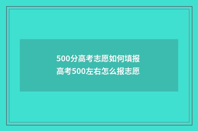 500分高考志愿如何填报 高考500左右怎么报志愿