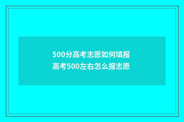500分高考志愿如何填报 高考500左右怎么报志愿