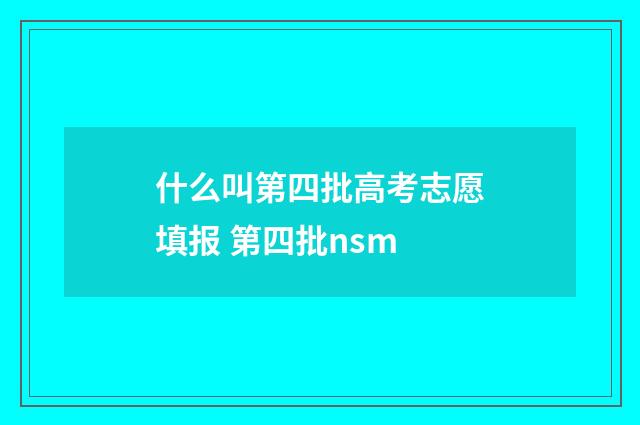 什么叫第四批高考志愿填报 第四批nsm
