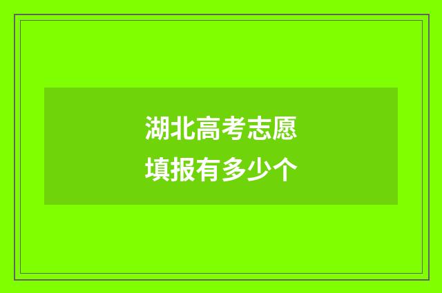 湖北高考志愿填报有多少个