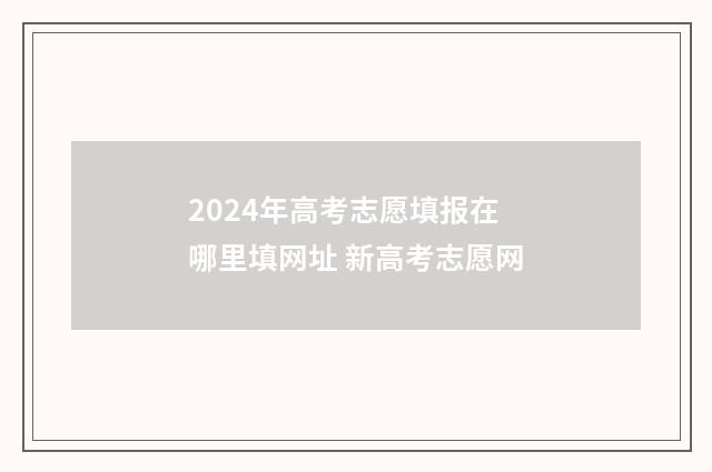 2024年高考志愿填报在哪里填网址 新高考志愿网