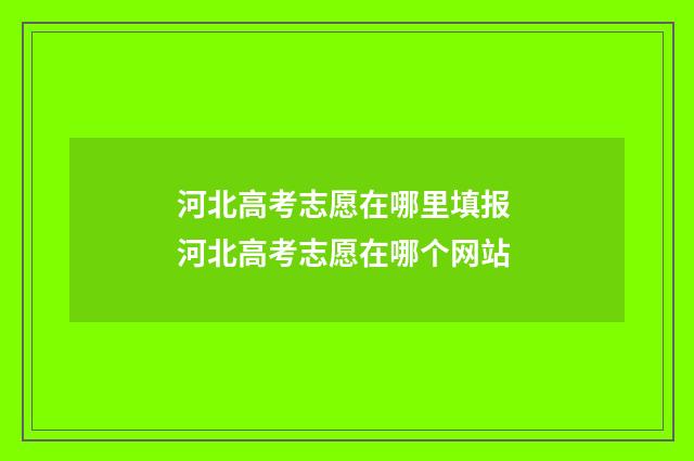 河北高考志愿在哪里填报 河北高考志愿在哪个网站