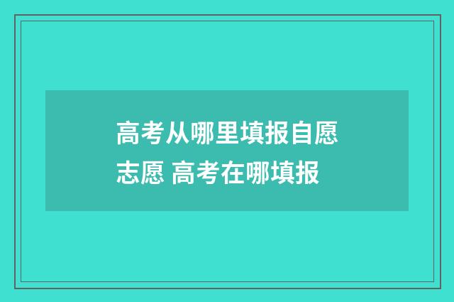 高考从哪里填报自愿志愿 高考在哪填报
