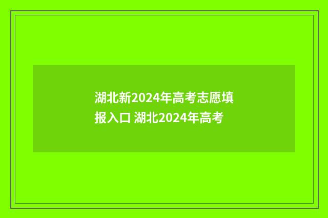 湖北新2024年高考志愿填报入口 湖北2024年高考