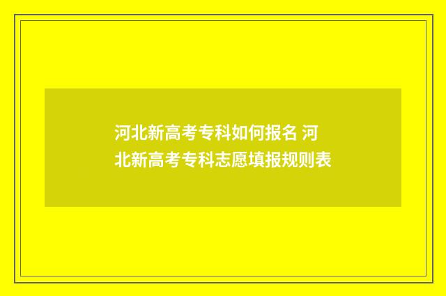 河北新高考专科如何报名 河北新高考专科志愿填报规则表