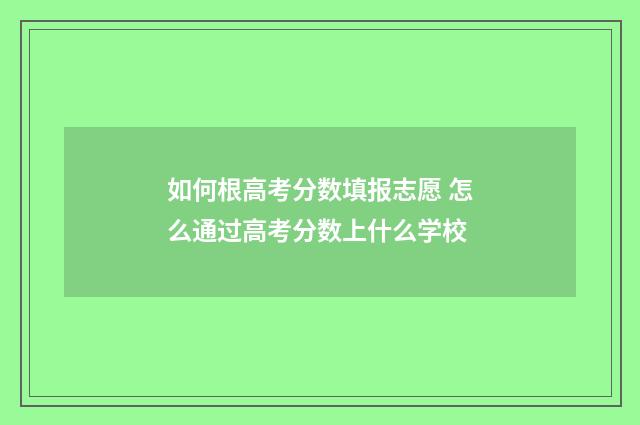 如何根高考分数填报志愿 怎么通过高考分数上什么学校