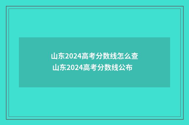 山东2024高考分数线怎么查 山东2024高考分数线公布