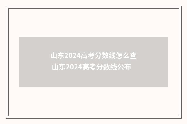 山东2024高考分数线怎么查 山东2024高考分数线公布