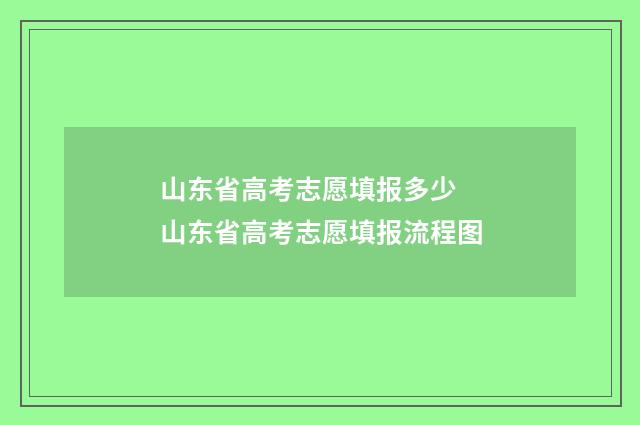 山东省高考志愿填报多少 山东省高考志愿填报流程图