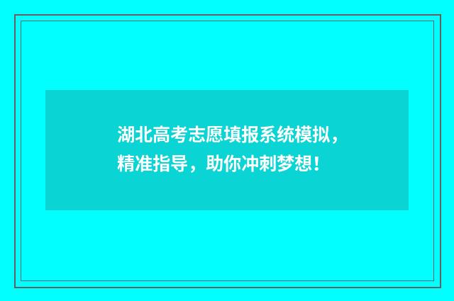 湖北高考志愿填报系统模拟，精准指导，助你冲刺梦想！