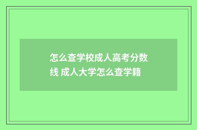 怎么查学校成人高考分数线 成人大学怎么查学籍