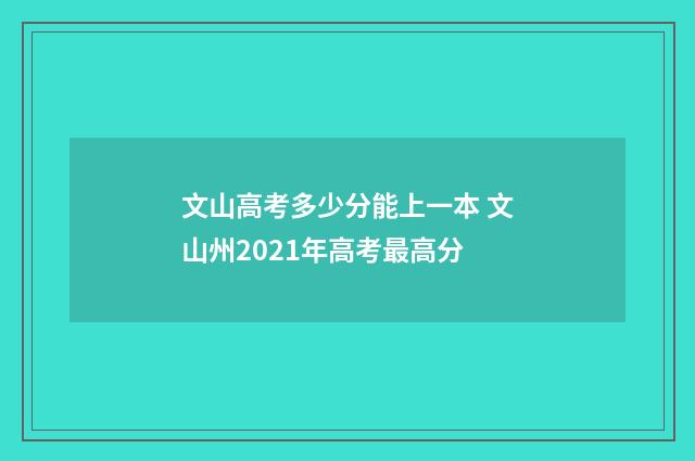 文山高考多少分能上一本 文山州2021年高考最高分