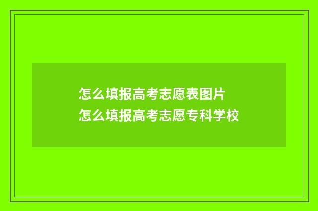 怎么填报高考志愿表图片 怎么填报高考志愿专科学校