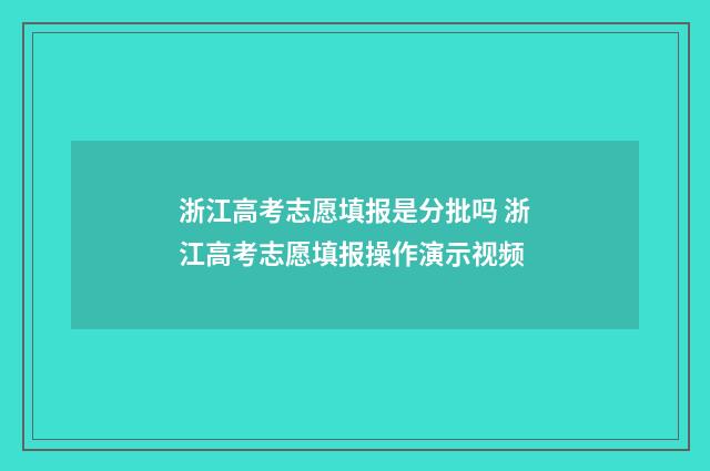 浙江高考志愿填报是分批吗 浙江高考志愿填报操作演示视频