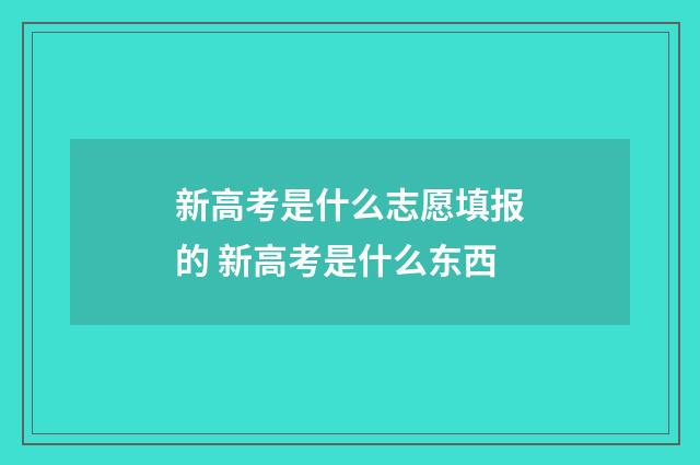 新高考是什么志愿填报的 新高考是什么东西