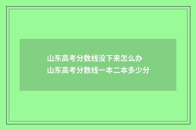 山东高考分数线没下来怎么办 山东高考分数线一本二本多少分