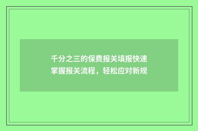 千分之三的保费报关填报快速掌握报关流程，轻松应对新规