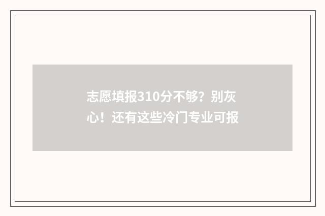志愿填报310分不够？别灰心！还有这些冷门专业可报