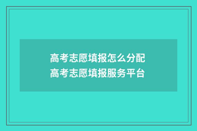高考志愿填报怎么分配 高考志愿填报服务平台
