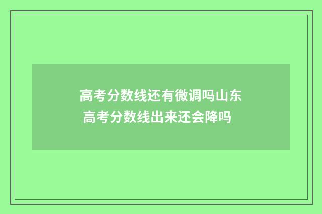 高考分数线还有微调吗山东 高考分数线出来还会降吗